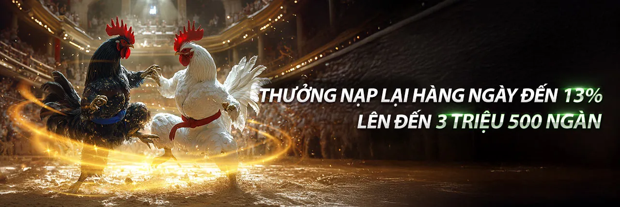 Đá gà trực tuyến i5bet đỉnh cao